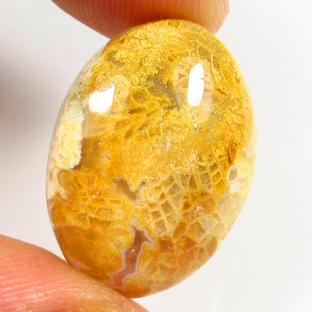 17.00 Ct Natural Fossil Agate Loose Stone: weight - 17.00 Ct / Size 22.00 x 16.50 x 7.00 mm / Shape - Excellent Oval Cab / Origin - Brazil / Treatment - None