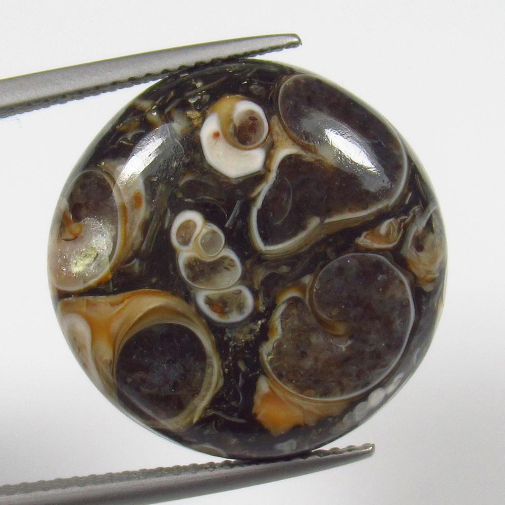 17.71 Ct Natural Jasper Quartz Loose Stone: weight - 17.71 Ct / Size - 20.50 x 20.50 x 16.00 mm / Shape - Excellent Round Cab / Origin - Brazil / Treatment - None