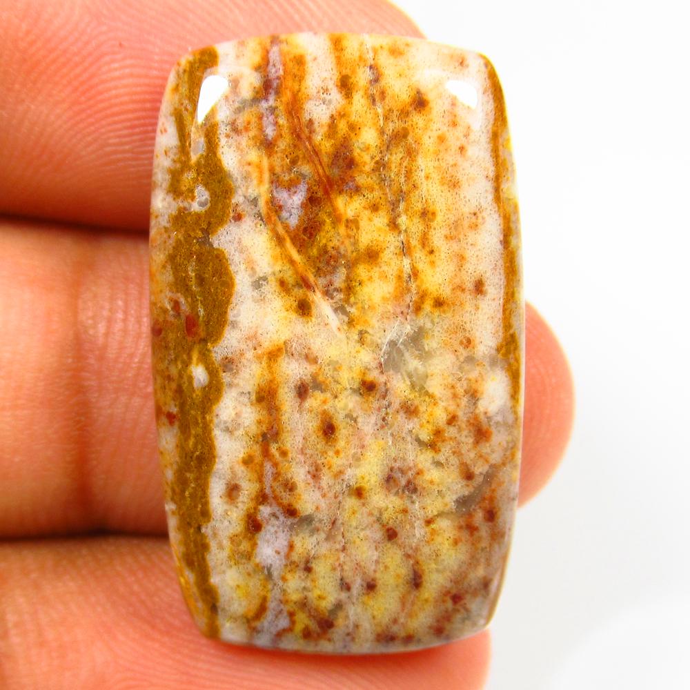 24.76 Ct Natural Jasper Quartz Loose Stone: weight - 24.76 Ct / Size -30.00 x 18.50 x 5.30 mm / Shape - Excellent Cushion Cab / Origin - Brazil / Treatment - None