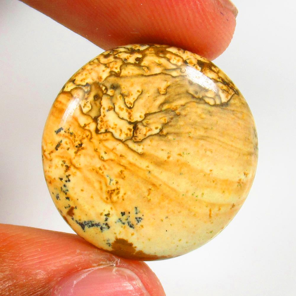 22.05 Ct Natural Jasper Quartz Loose Stone: weight - 22.05 Ct / Size - 24.00 x 24.00 x 5.50 mm / Shape - Excellent Round Cab / Origin - Brazil / Treatment - None