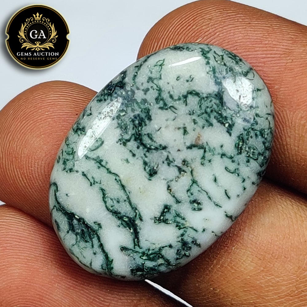 26.79 Ct Natural Tree Agate Oval Cab (1 of 3)