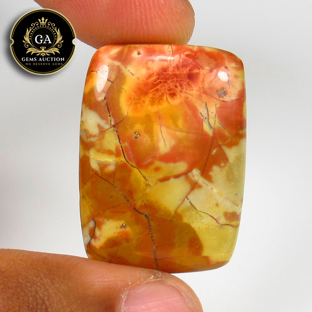 22.83 Ct Natural Fruit Jasper Cushion Cab: weight - 22.83 Ct / Size - 28.00 x 20.00 x 5.00 mm / Shape - Excellent Cushion Cab / Origin - Brazil / Treatment - None