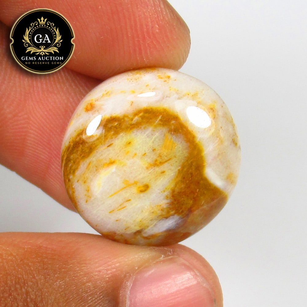 19.20 Ct Natural Palm Root Jasper Round Cab (1 of 2)