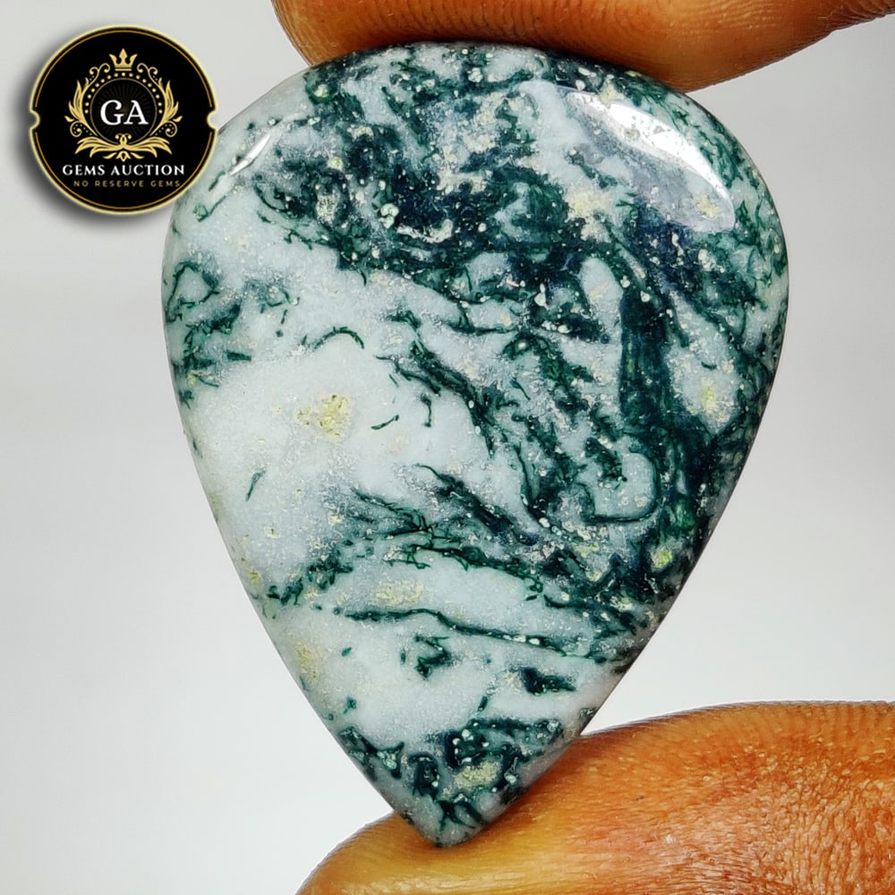 25.18 Ct Natural Tree Jasper Pear Cab (1 of 3)