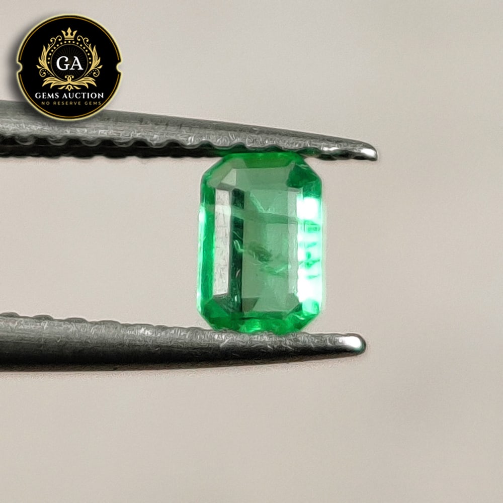 0.20 Ct Natural Zambian Emerald Octagon Cut: Weight - 0.20 Ct / Size - 4.80 x 3.10 x 1.60 mm / Shape - Octagon Cut / Color - Green / Clarity - SI / Origin - Zambia / Treatment - Colorless Oil