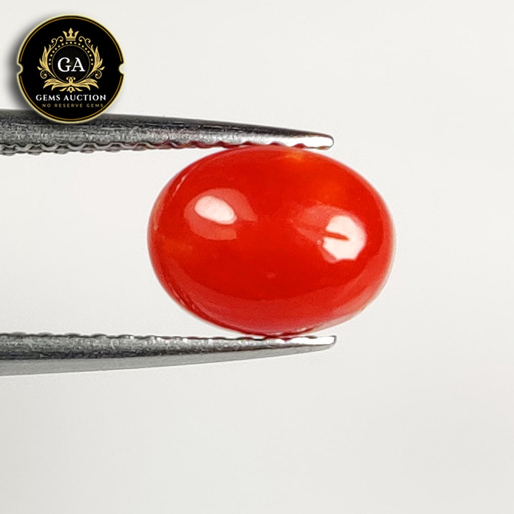 1.52 Ct Natural Red Coral Oval Cab (1 of 3)