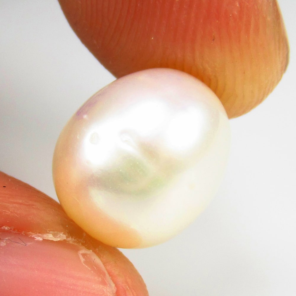 8.30 Ct Natural Fresh Water Pearl Egg Shaped Beads: Weight - 8.30 Ct / Dimensions - 11.80 x 8.00 x 8.00 mm / Shape & Cut - Egg Shaped Beads / Color - White / Transparency - - OPaque / Origin - India / Comments - - None