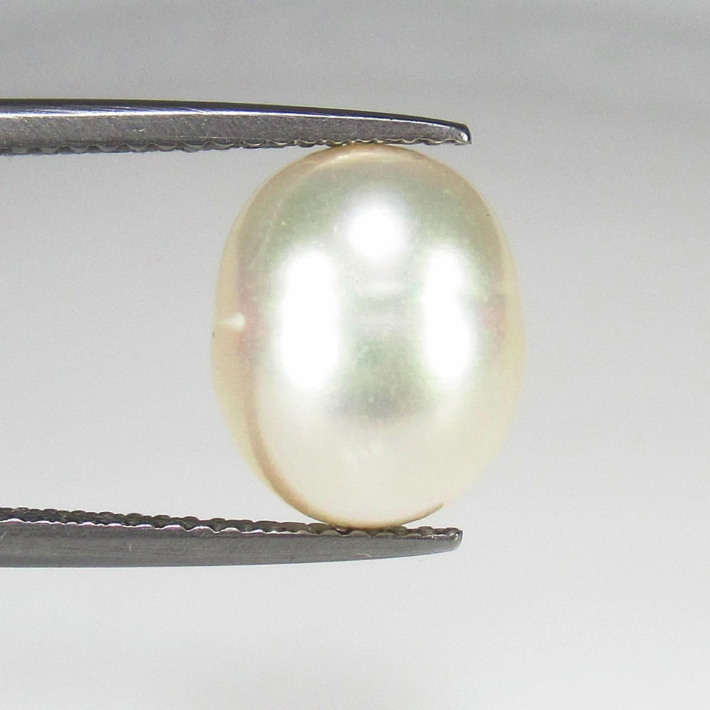 8.00 Ct Natural Fresh Water Pearl Dumble Shaped Beads: Weight - 8.00 Ct / Size - 11.90 x 10.00 x 10.00 mm / Shape - Drilled Dumble Beads / Color - White / Clarity - OPaque / Origin - India / Treatment - None