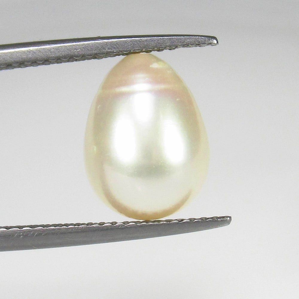 6.92 Ct Natural Fresh Water Pearl Dumble Shaped Beads: Weight - 6.92 Ct / Size - 12.00 x 9.50 x 9.50 mm / Shape - Drilled Dumble Beads / Color - White / Clarity - OPaque / Origin - India / Treatment - None