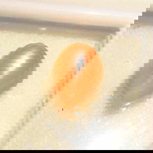 2.35 Ct Natural Orange Moonstone Oval Cab: Weight - 2.35 Ct / Size - 9.50 x 7.50 x 3.10 mm / Shape - Oval Cabochon / Clarity - Semi-Transparent / Origin - India / Treatment - None