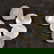 item-208298217=1