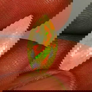 1.17 Ct Natural Multi-Color Welo Opal Flash Fire Marquise Cut: Weight - 1.17 Ct / Size - 13.20 x 6.30 x 4.30 mm / Shape - Marquise Cut / Color - Multicolor / Clarity - Translucent / Origin - Ethiopia / Treatment - None