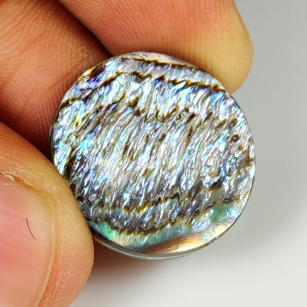 9.53 Ct Natural Abalone Shell Round Cab: Weight - 9.53 Ct / Size - 20.00 x 20.00 x 2.50 mm / Shape - Round Cab / Clarity - Opaque / Origin - Brazil / Treatment - None