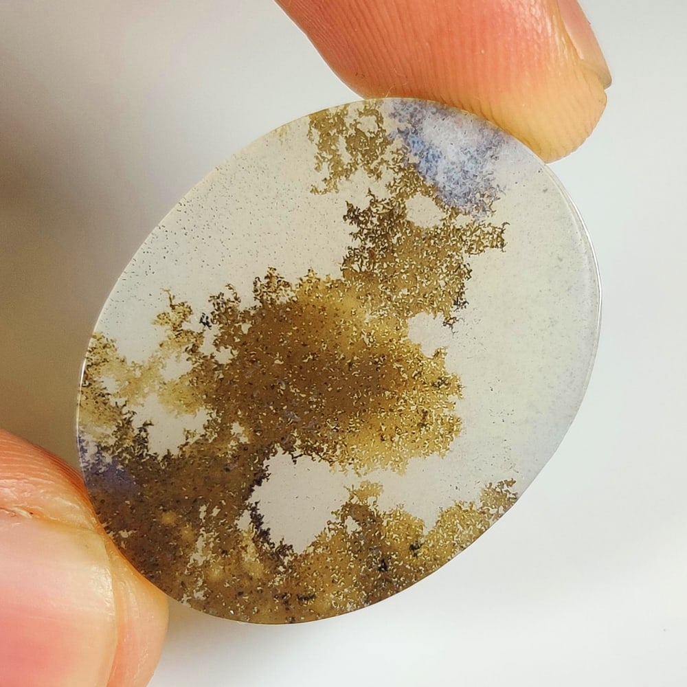 22.96 Ct Natural Dendrite Agate OVal Cab (1 of 2)