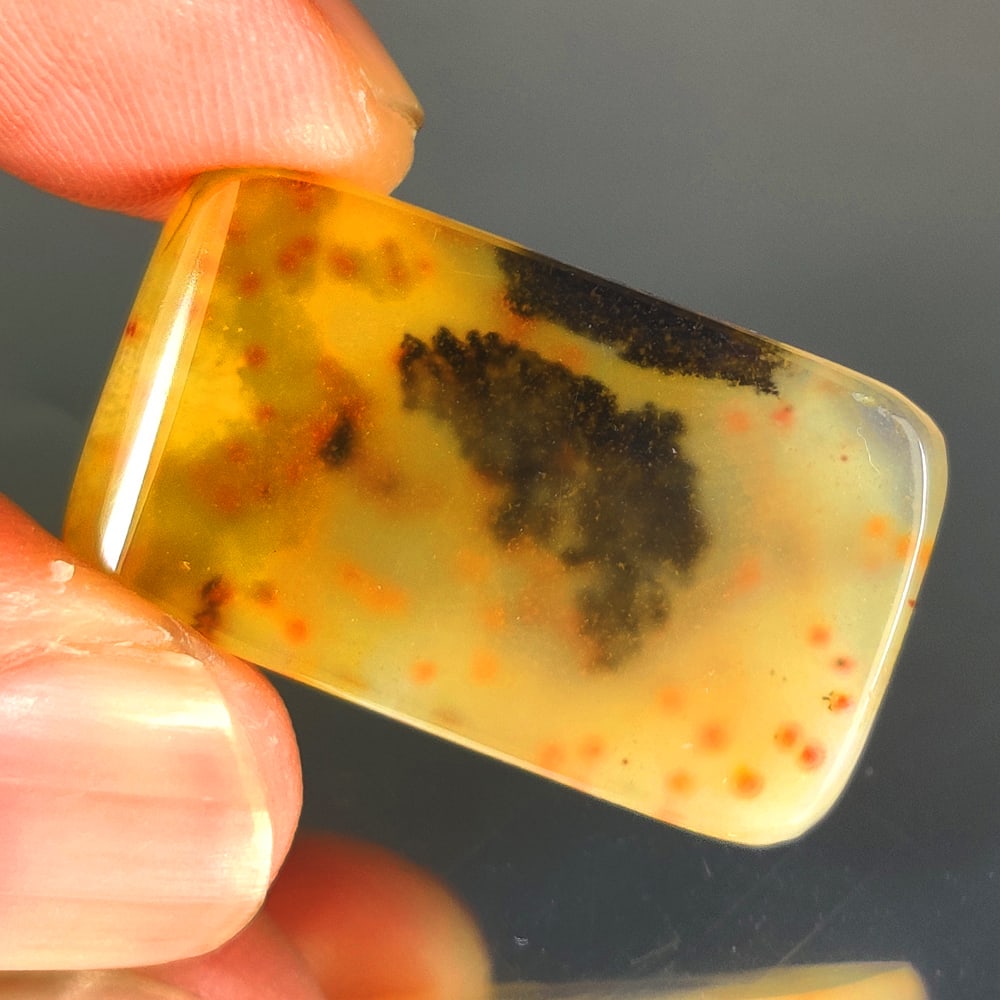 20.26 Ct Natural Dendrite Agate Octagon Cab (1 of 2)