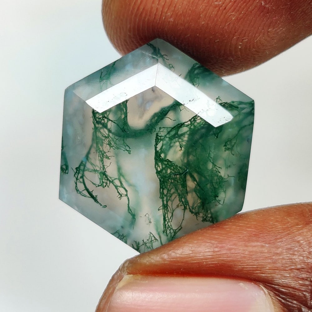 16.91 Ct Natural Moss Agate Hexagon Cut (1 of 2)