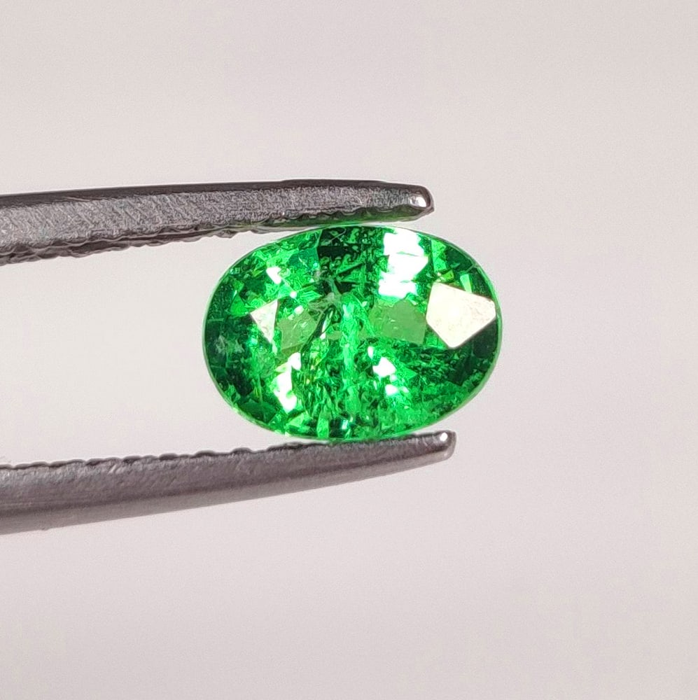 0.98 Ct Natural Green Tsavorite Oval Cut (1 of 2)