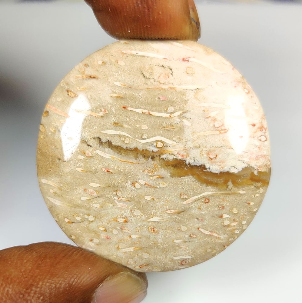 48.30 Ct Natural Jasper Quartz Round Cab (1 of 2)