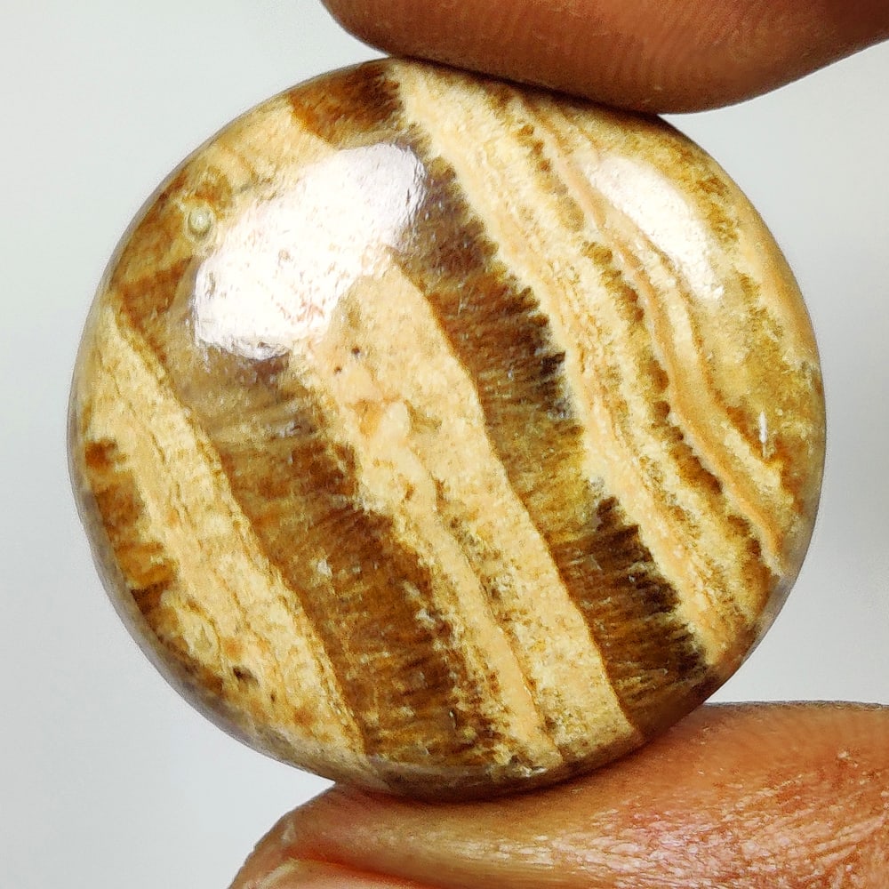 20.97 Ct Natural Jasper Quartz Round Cab (1 of 2)