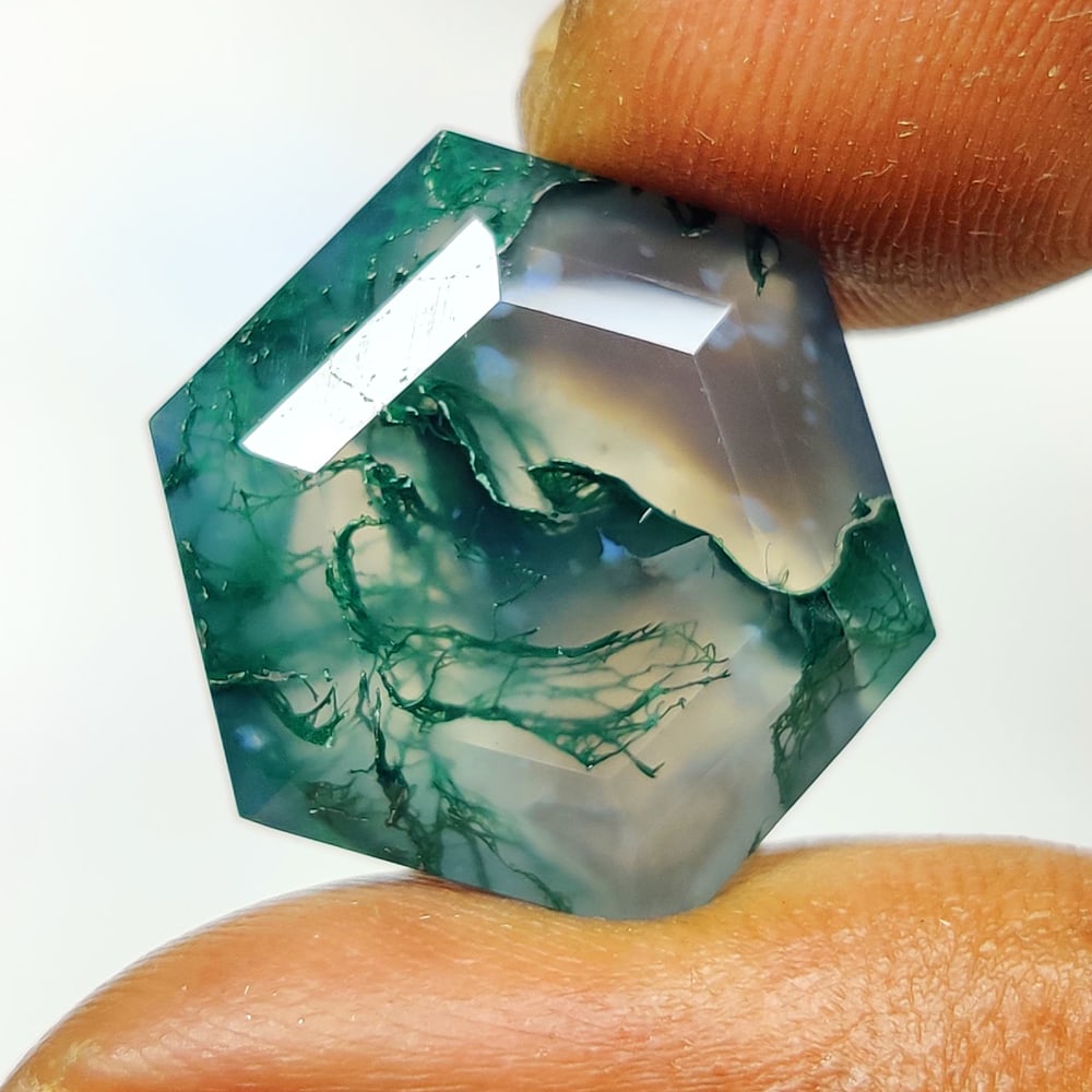 16.90 Ct Natural Moss Agate Hexagon Cut (1 of 2)