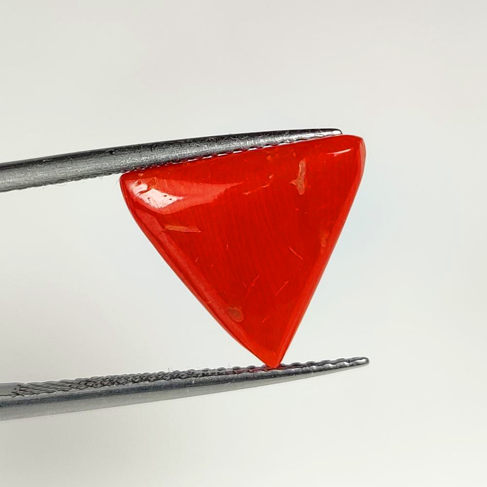 3.41 Ct Natural Orange Coral Trillion Cab: Weight - 3.41 Ct / Dimensions - 13.00 x 12.30 x 3.20 mm / Shape - Trillion Cab / Clarity - Translucent / Origin - Japan / Comments - None