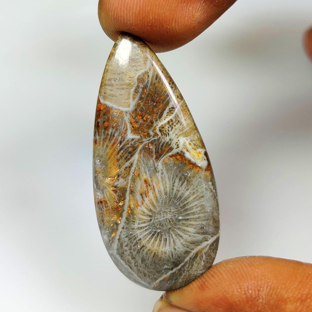 22.86 Ct Natural Fossil Coral Long Pear Cab: Weight - 22.86 Ct / Dimensions - 41.00 x 18.80 x 3.70 mm / Shape - Pear Cab / Clarity - Translucent / Origin - Africa / Comments - None