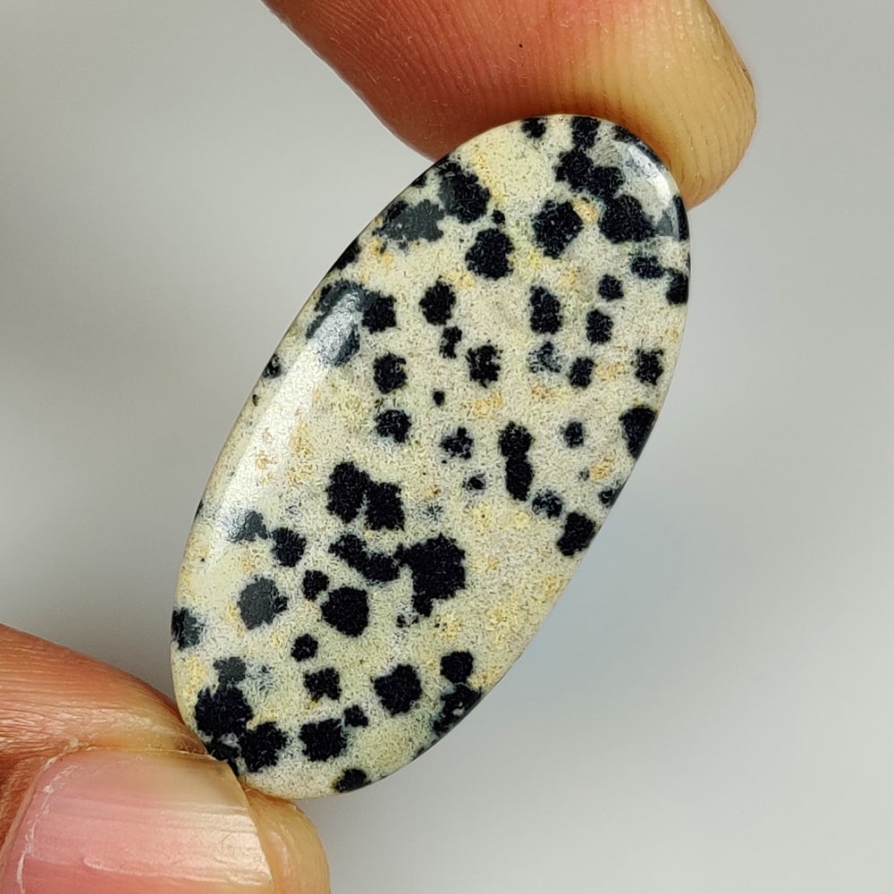 18.03 Ct Natural Dalmation Jasper Quartz Oval Cab: weight - 18.03 Ct / Size - 31.00 x 14.70 x 4.30 mm / Shape - Excellent Oval Cab / Origin - Brazil / Treatment - None