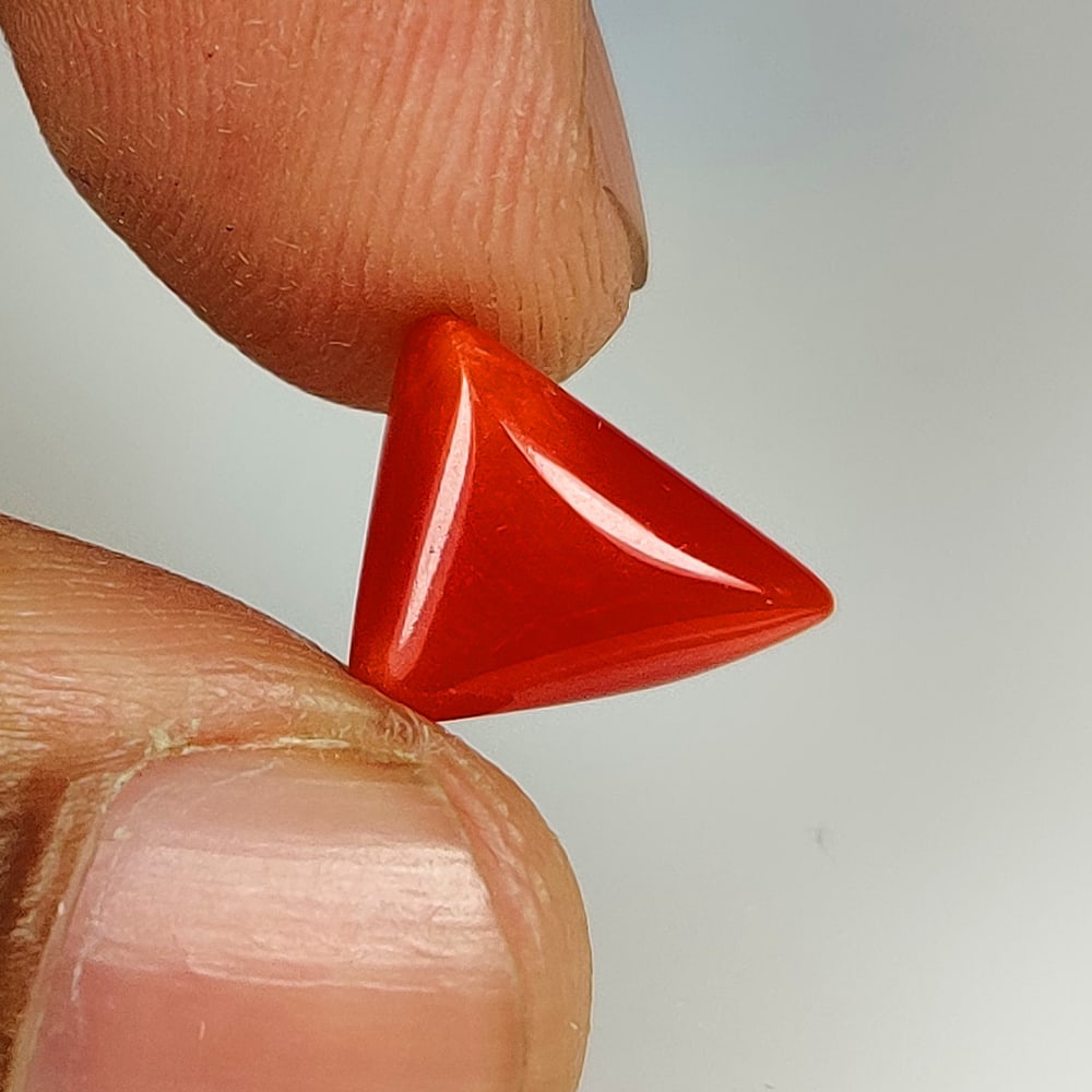 3.29 Ct Natural Red Coral Trillion Cab (1 of 2)