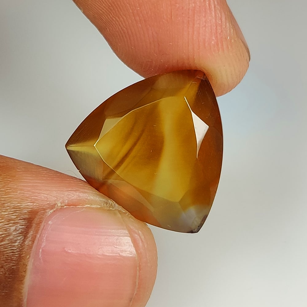 11.60 Ct Natural Orange Dendrite Agate Trillion Cut (1 of 2)