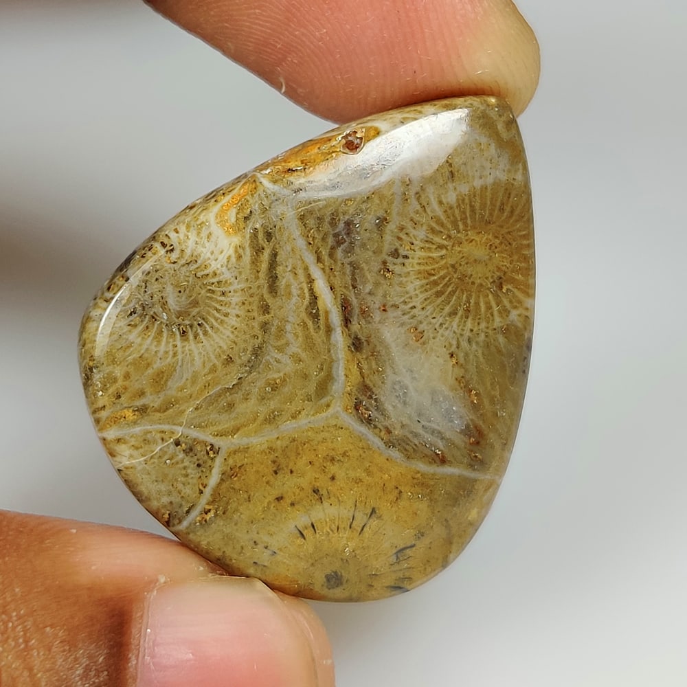 36.77 Ct Natural Fossil Coral Pear Cab (1 of 2)