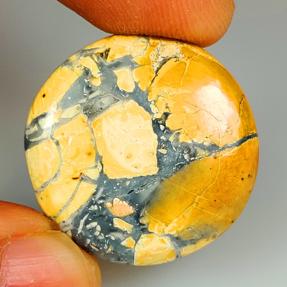 31.67 Ct Natural Maligano Jasper Quartz Round Cab (1 of 2)