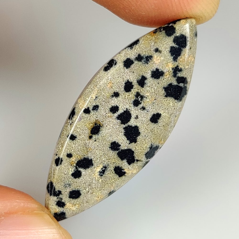 20.26 Ct Natural Dalmation Jasper Quartz Marquise Cab (1 of 2)