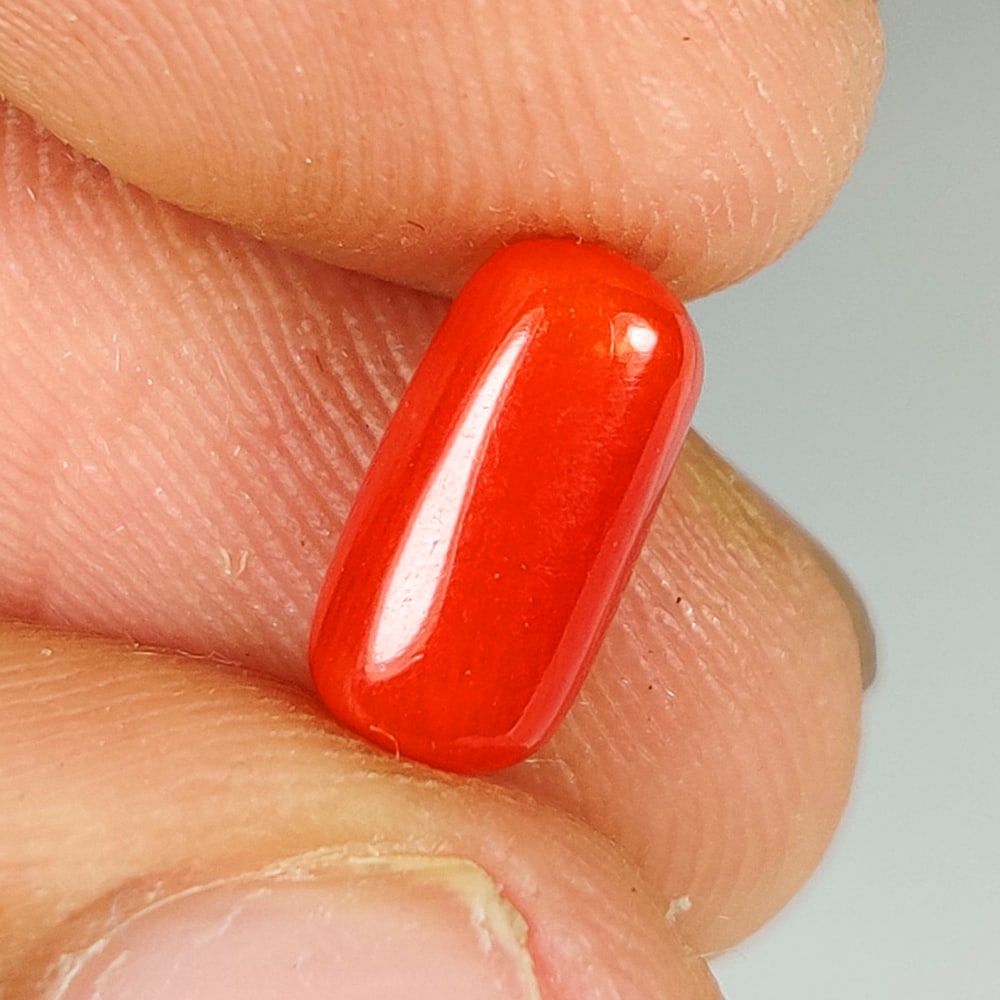 2.07 Ct Natural Red Coral Capsule Cab: Weight - 2.07 Ct / Dimensions - 9.90 x 5.10 x 4.50 mm / Shape - Capsule Cabochon / Color - Red / Clarity - Opaque / Origin - Italy / Treatment - None