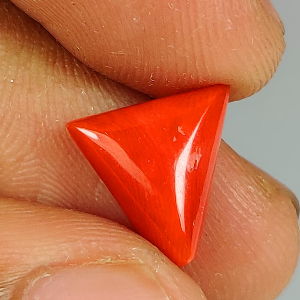 3.57 Ct Natural Red Coral Trillion Cab: Weight - 3.57 Ct / Dimensions - 11.50 x 11.30 x 5.20 mm / Shape - Trillion Cabochon / Color - Red / Clarity - Opaque / Origin - Italy / Treatment - None