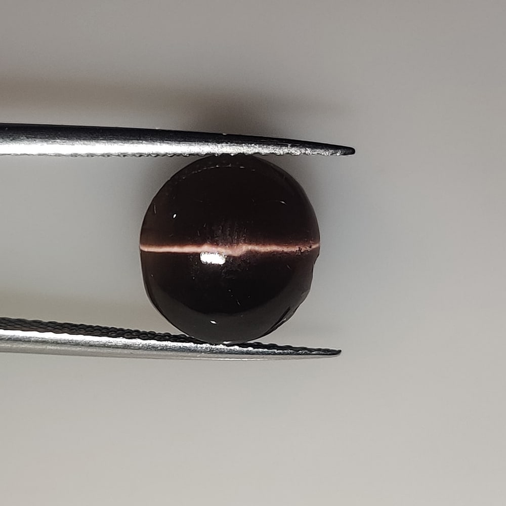 6.26 Ct Natural Sillimanite Catseye Round Cab: Weight - 6.26 Ct / Dimensions - 10.50 x 10.00 x 6.50 mm / Top Class Quality / Round Cab / Origin - Srilanka / Treatment - None