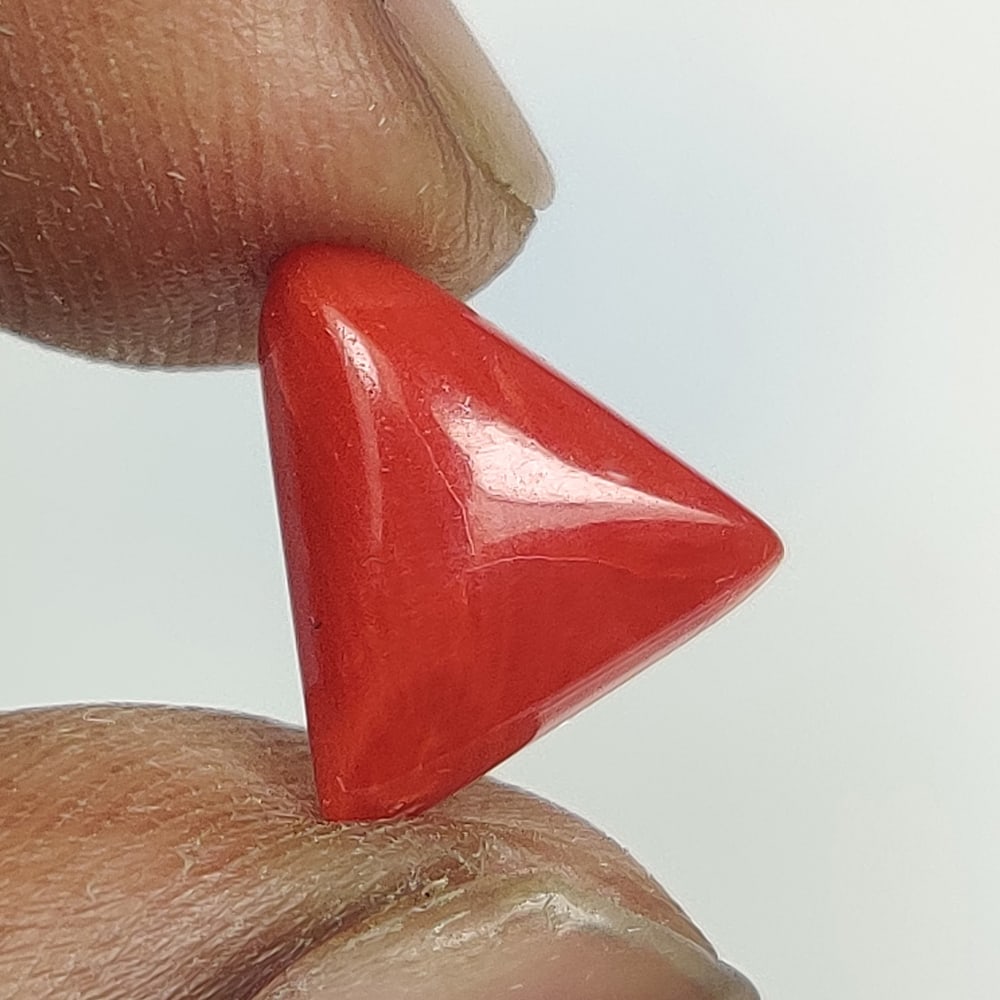 3.15 Ct Natural Red Coral Trillion Cab: Weight - 3.15 Ct / Dimensions - 10.40 x 9.60 x 5.00 mm / Shape - Trillion Cabochon / Color - Red / Clarity - Opaque / Origin - Italy / Treatment - None