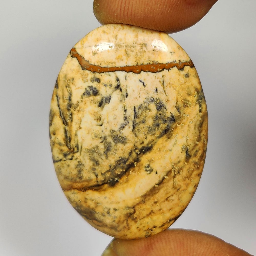 28.92 Ct Natural Picture Jasper Quartz OVal Cab (1 of 2)