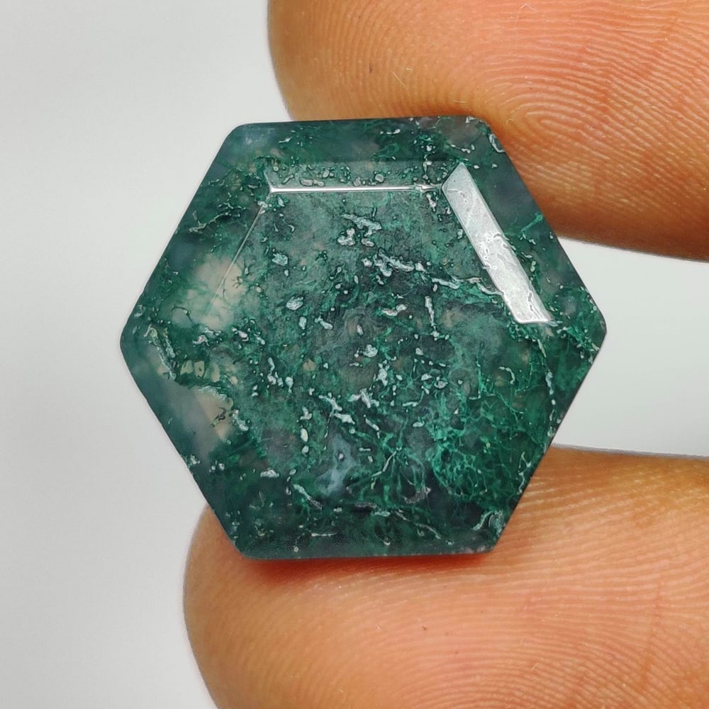 13.15 Ct Natural Moss Agate Hexagon Cut (1 of 2)