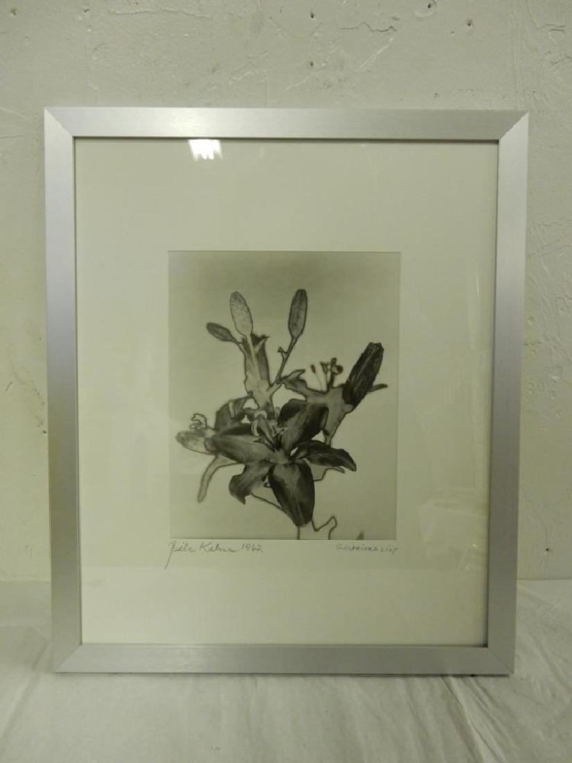 Bela Kalman (American/Hungarian 1921-2011), Solarized (1 of 2)