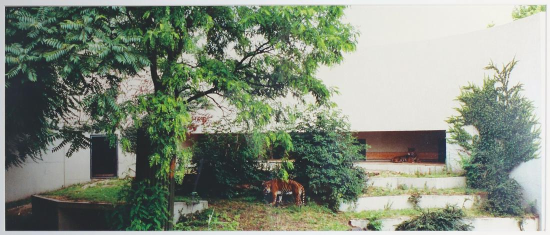 Candida Höfer, Zoologischer Garten Stuttgart I,: Zoologischer Garten Stuttgart I. 1991. C-Print. Edition 2/6. 49.4 x 78 cm. Numbered, dated and signed on the reverse: 2/6 Zoologischer Garten Stuttgart I 1991 Candida Höfer. Framed behind glass in pa