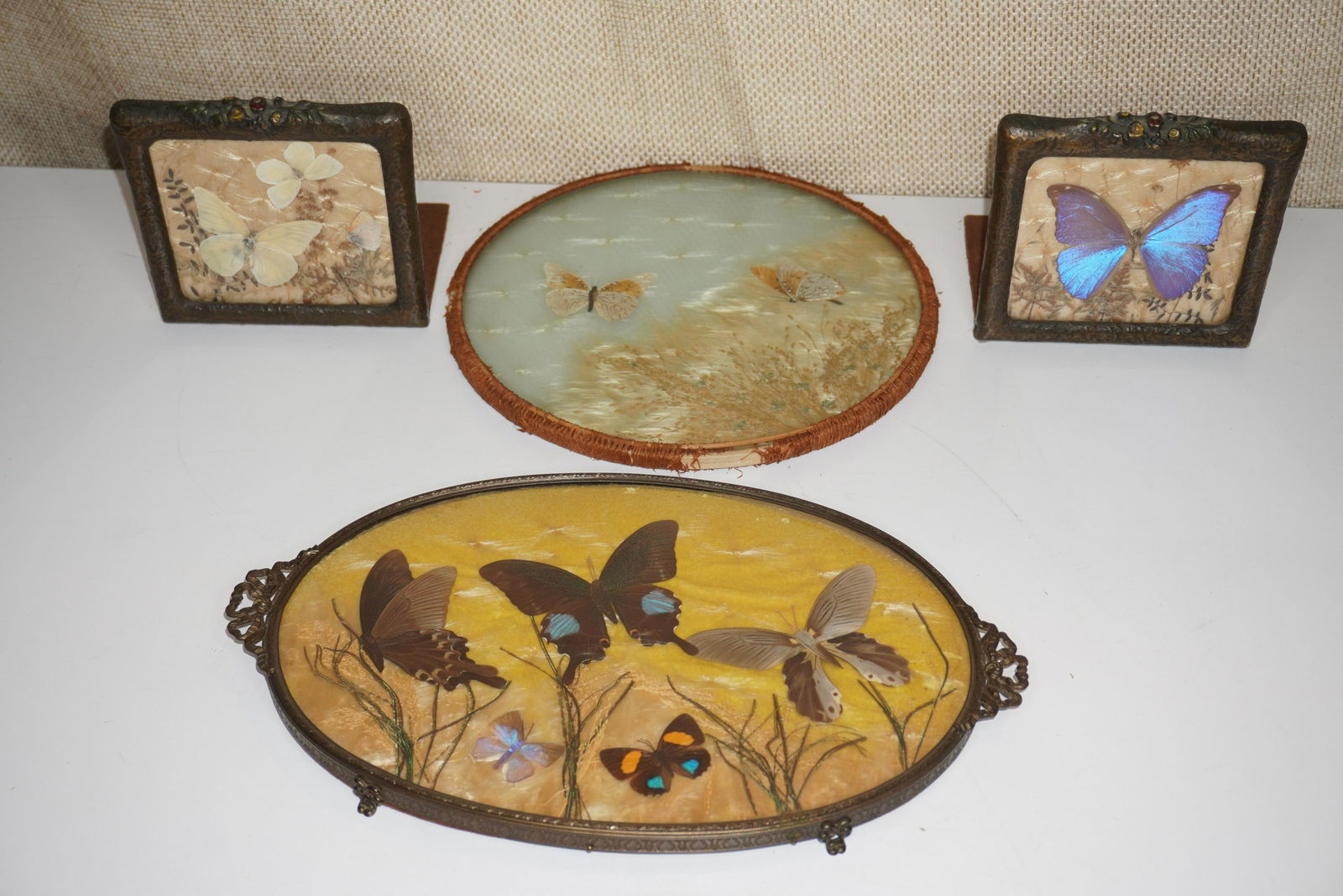 GROUP OF BUTTERFLY DETAILED TABLE ARTICLES (1 of 5)