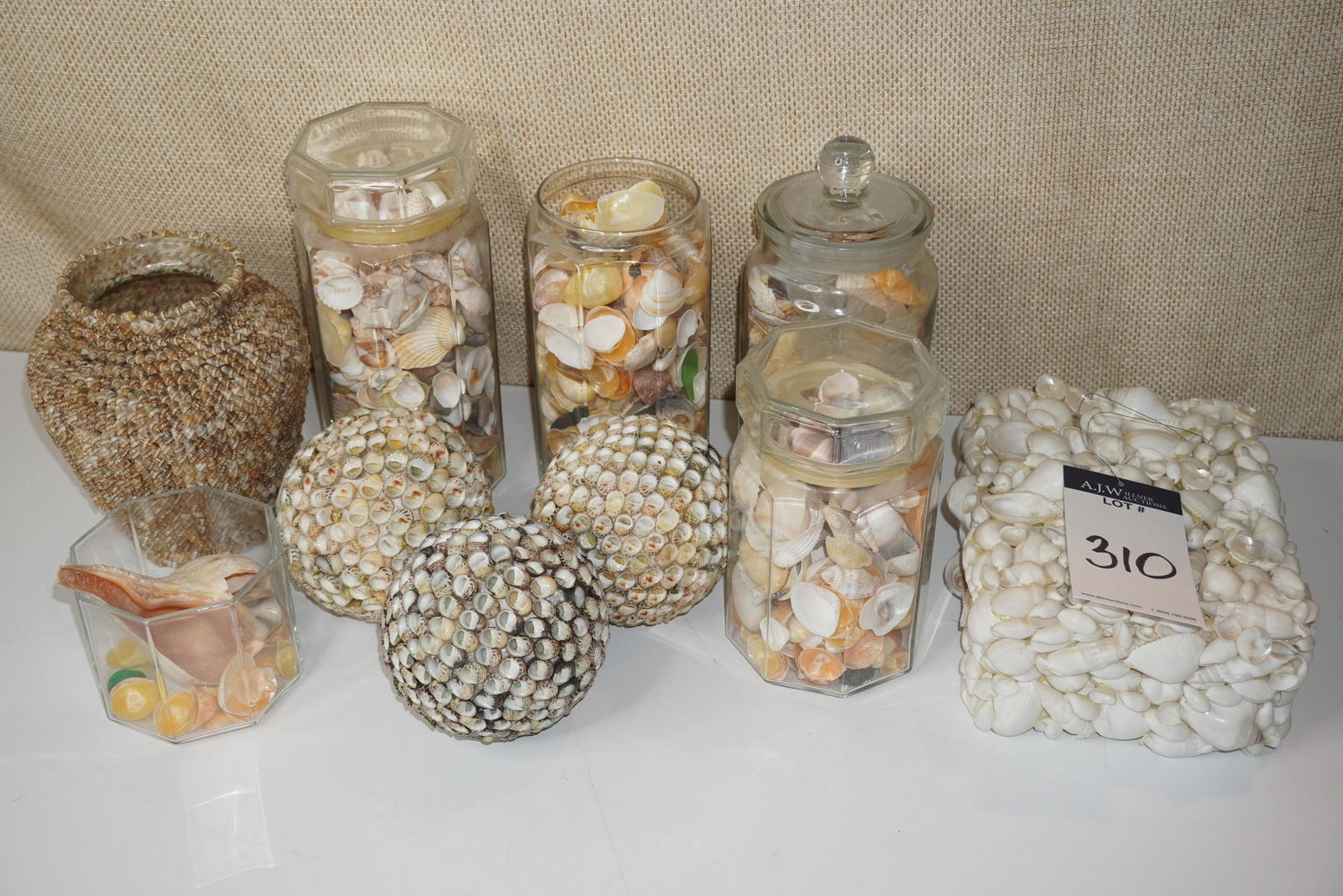 A COLLECTION OF SEASHELLS (1 of 4)