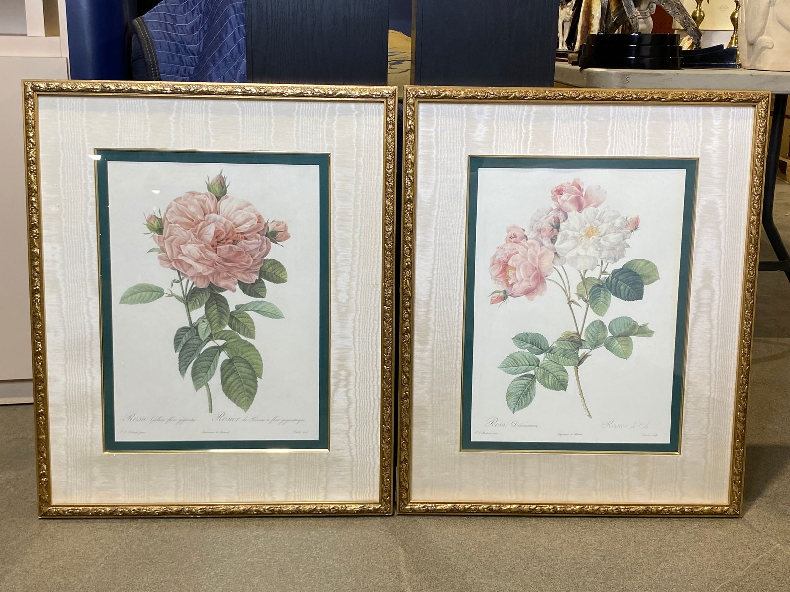 Pair of Pierre-Joseph Redoute' Rose Prints (1 of 8)