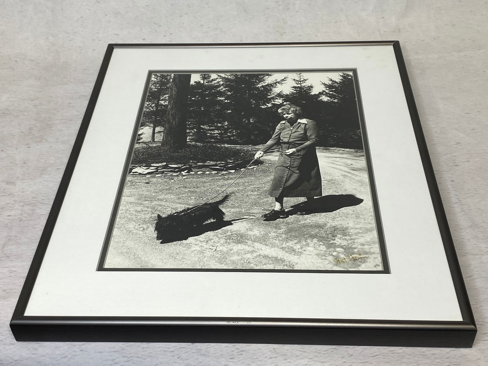 Eleanor Roosevelt with Her Scottie Nat Fein Signed Black and White Photograph (1 of 4)
