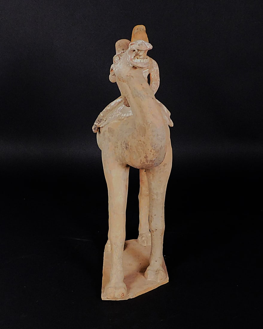 Painted Pottery Camel w/ Rider Tang Dynasty: Painted Pottery Camel w/ Rider presumably Tang Dynasty (618-907) Approx. 28.75 x 20 x 10.5 PROVENANCE: Weisbrod Chinese Art, Ltd., New York