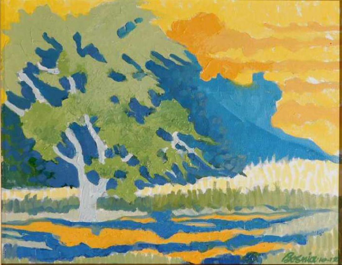 Howard Besnia: Mountain Landscape (1 of 9)