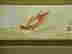 item-74637566=3