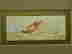 item-74637566=5