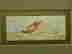 item-75866767=5