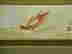 item-77762418=3